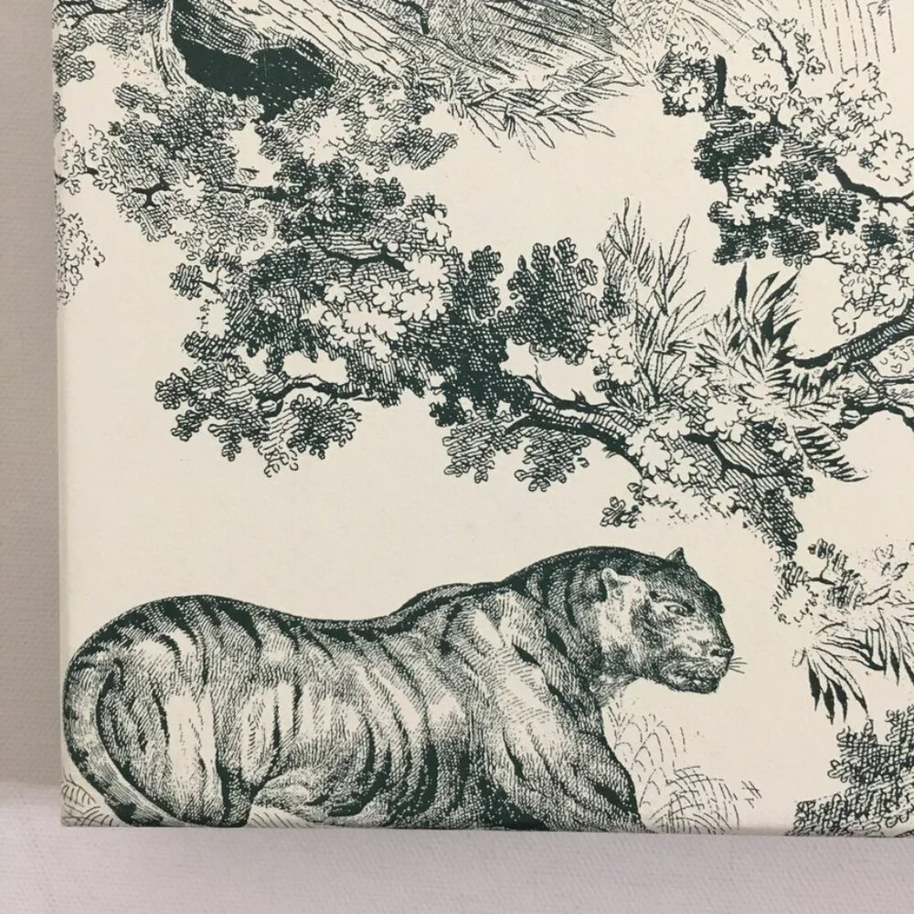 DIOR Empty Gift Box Hard Paper Green Animal Prints Squared Flat Accessory Box